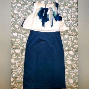NEVER WORN Form fitting Professional Chic dress size: Small